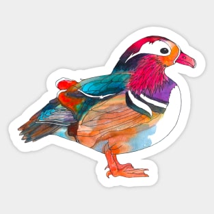 Mandarin duck in vibrant watercolor Sticker